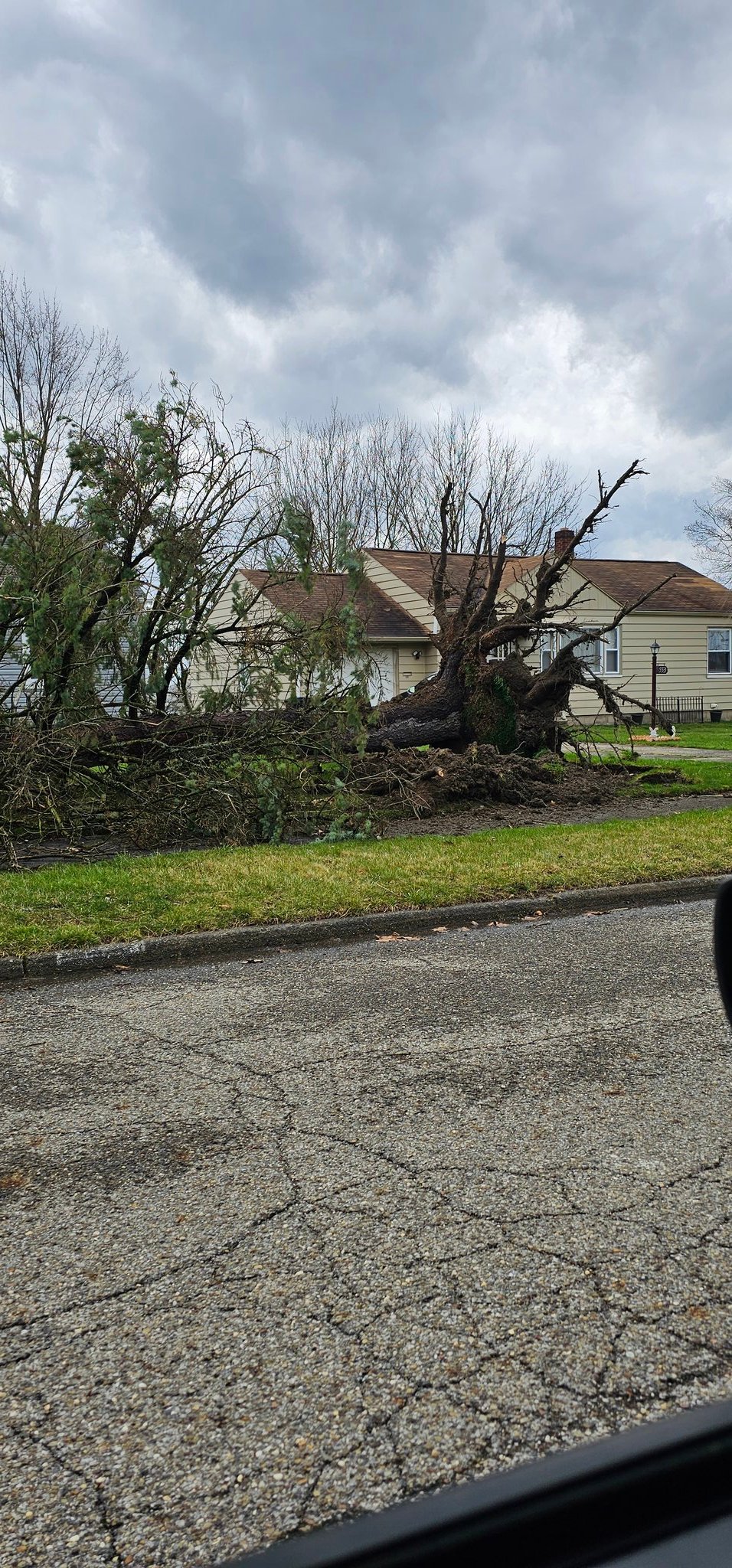 April 1 Severe Thunderstorms and High Winds